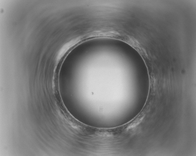 X0000059230340200510281911