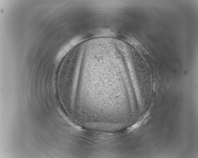 X0000059230341200510281911