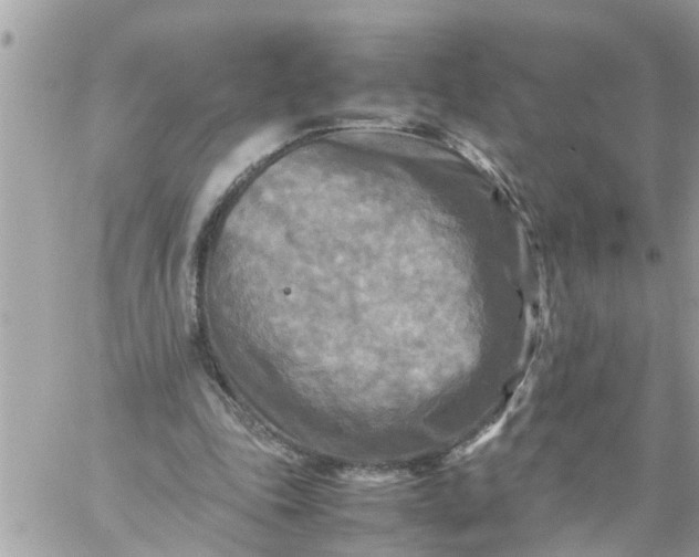 X0000059230343200510281911