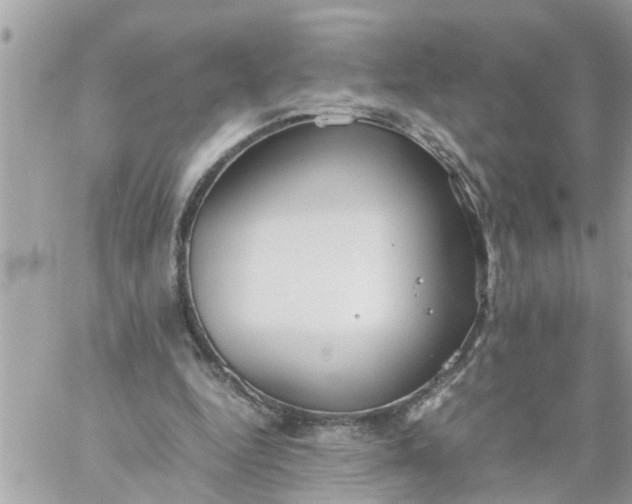 X0000059230344200510281911