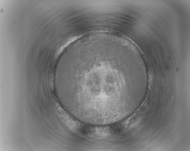 X0000059230345200510281911