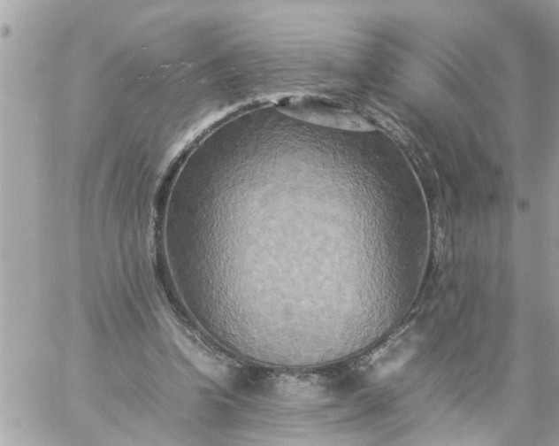 X0000059230346200510281911