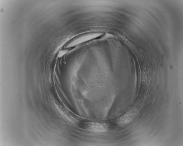 X0000059230347200510281911