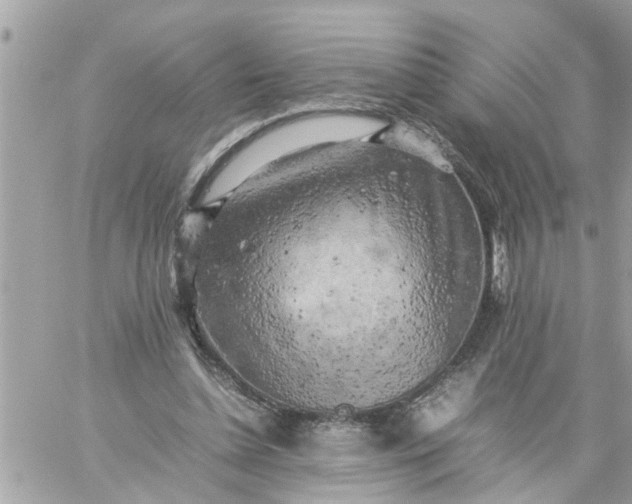 X0000059230348200510281911