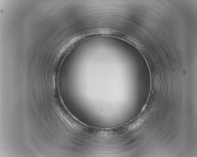 X0000059230350200510281911