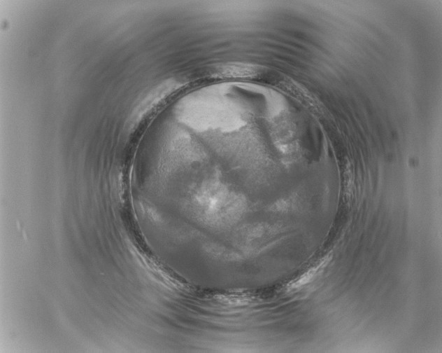 X0000059230351200510281911