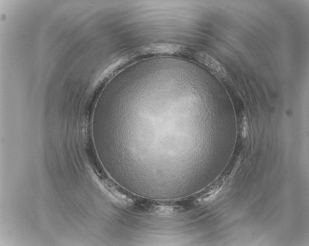 X0000059230352200510281911