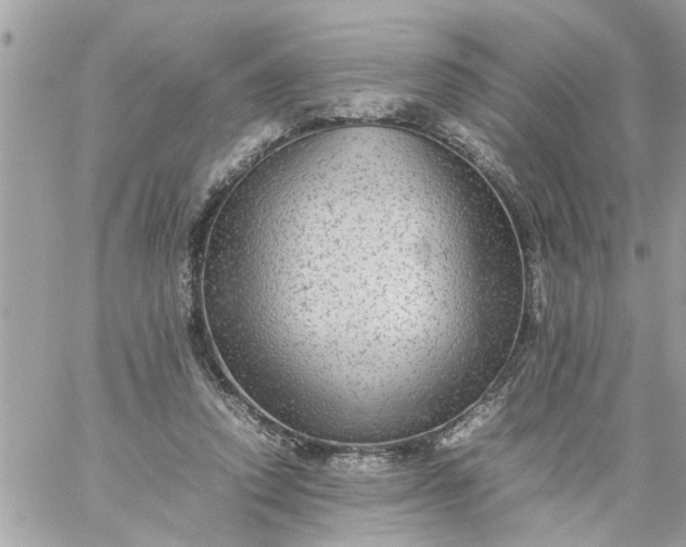 X0000059230354200510281911