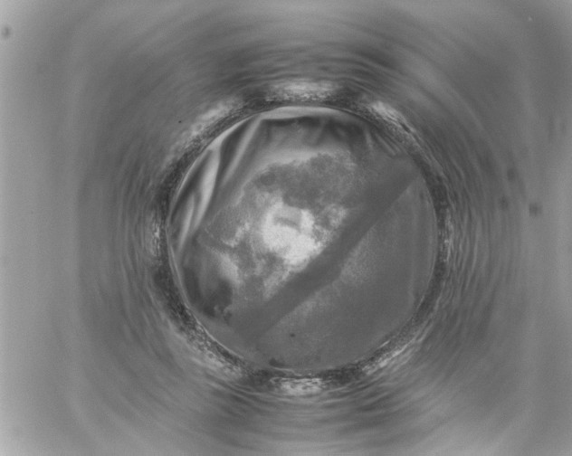 X0000059230355200510281911