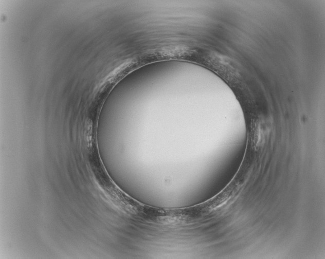 X0000059230356200510281911