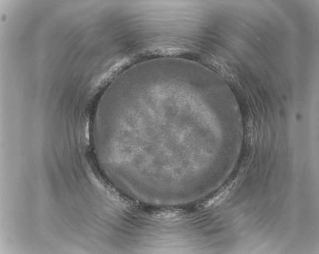 X0000059230358200510281911