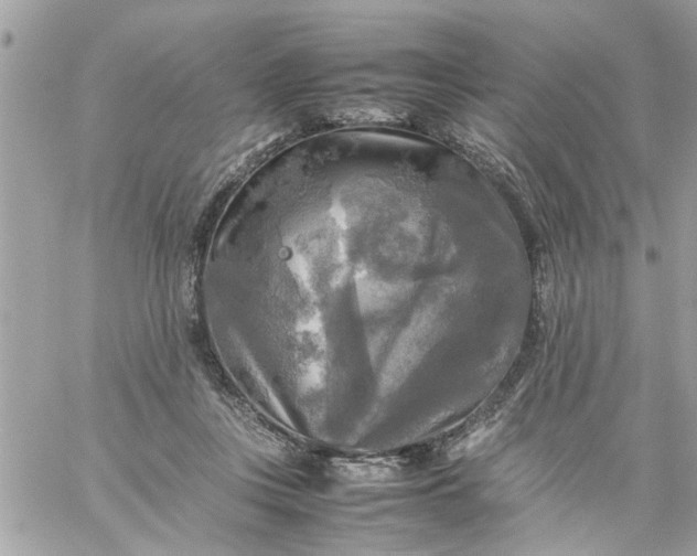 X0000059230359200510281911