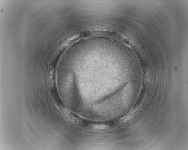 X0000059230360200510281911