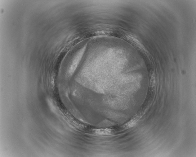 X0000059230363200510281911