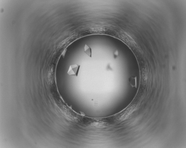 X0000059230364200510281911