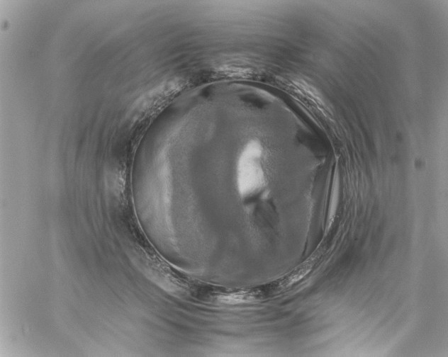 X0000059230365200510281911