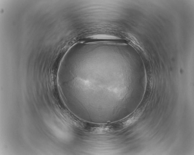 X0000059230366200510281911