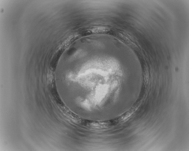 X0000059230367200510281911