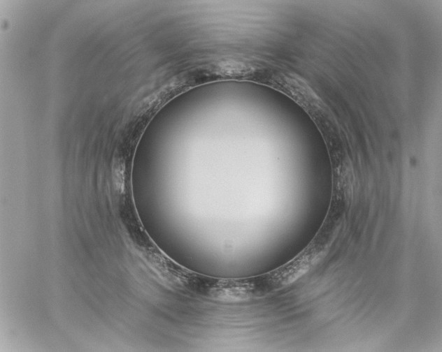 X0000059230368200510281911