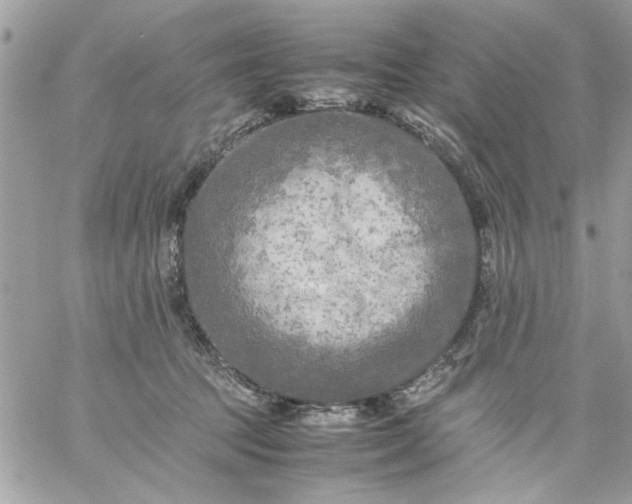 X0000059230369200510281911