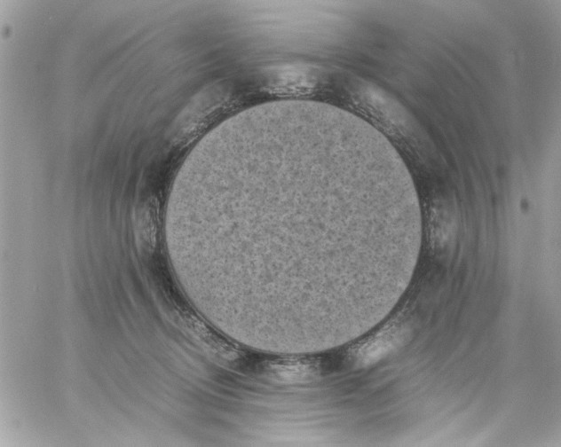 X0000059230370200510281911