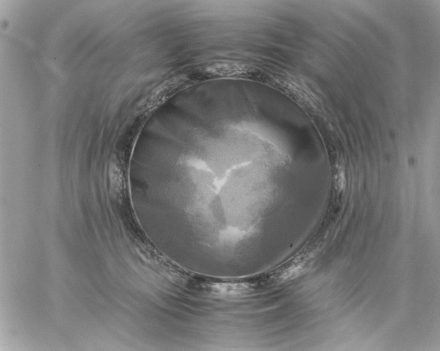 X0000059230371200510281911