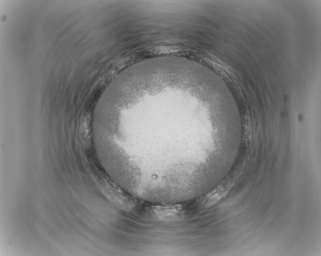 X0000059230373200510281911