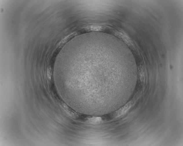 X0000059230374200510281911