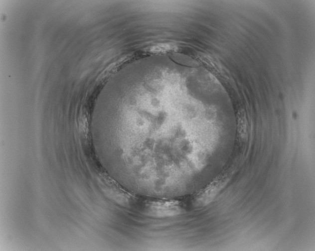 X0000059230375200510281911