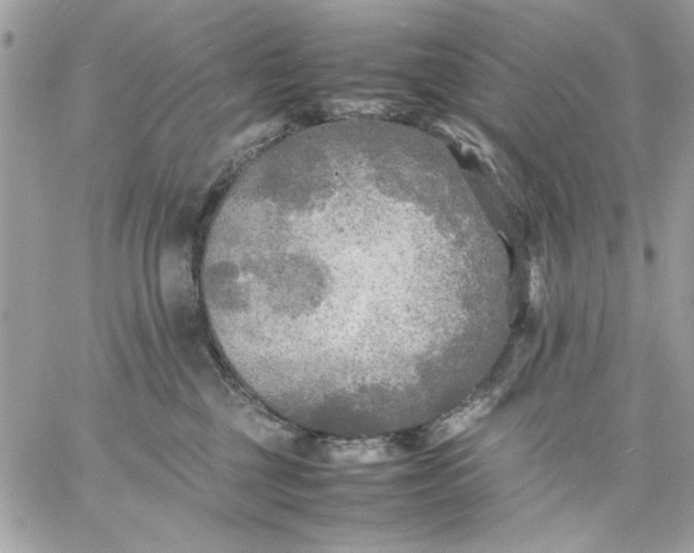 X0000059230377200510281911