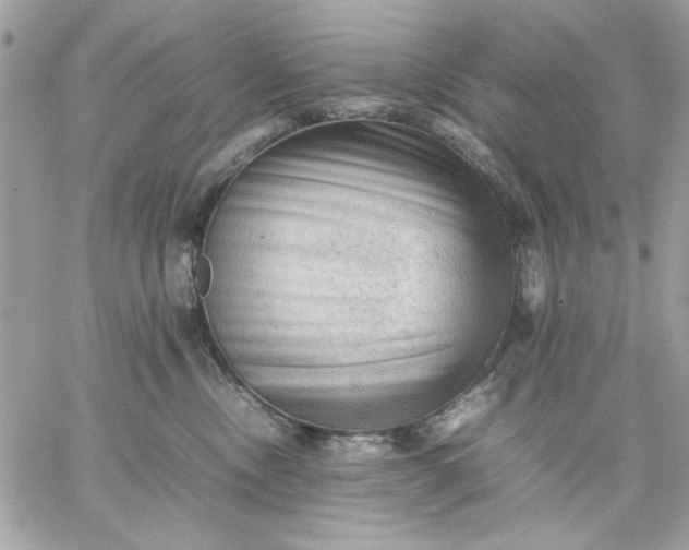 X0000059230378200510281911