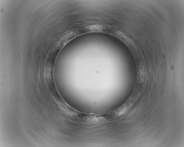 X0000059230379200510281911