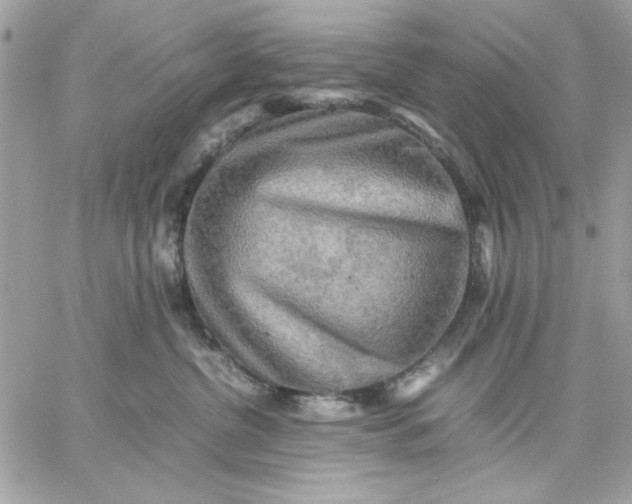 X0000059230380200510281911