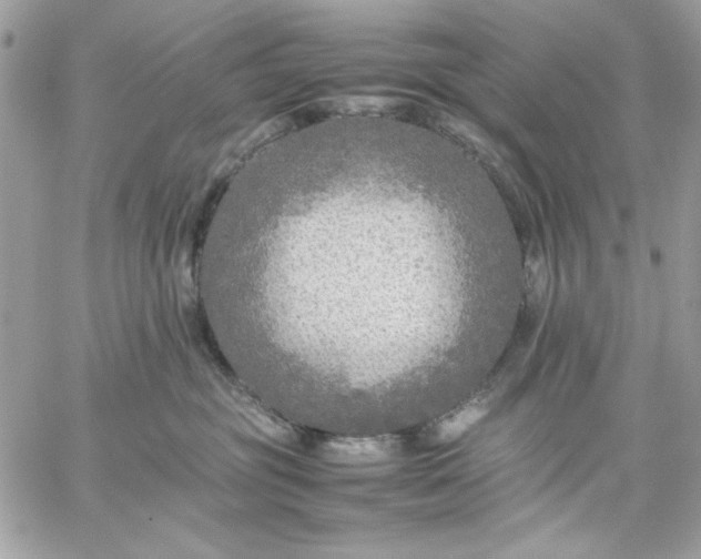 X0000059230381200510281911