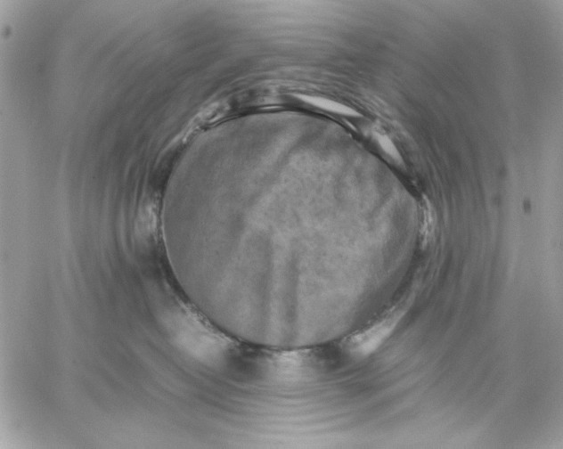 X0000059230382200510281911