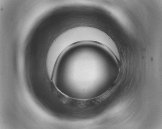 X0000059230383200510281911