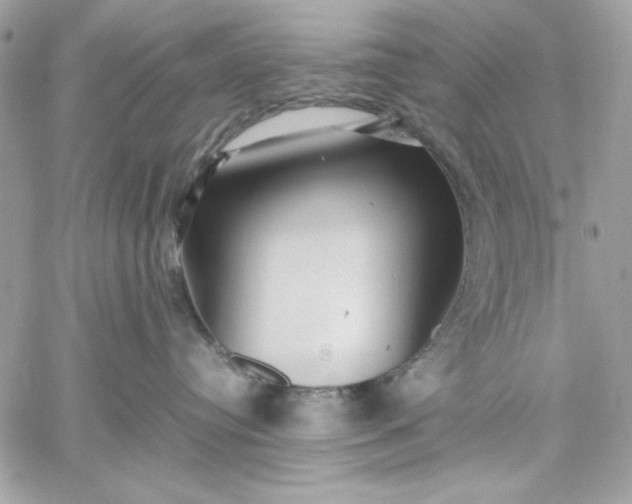 X0000059230384200510281911