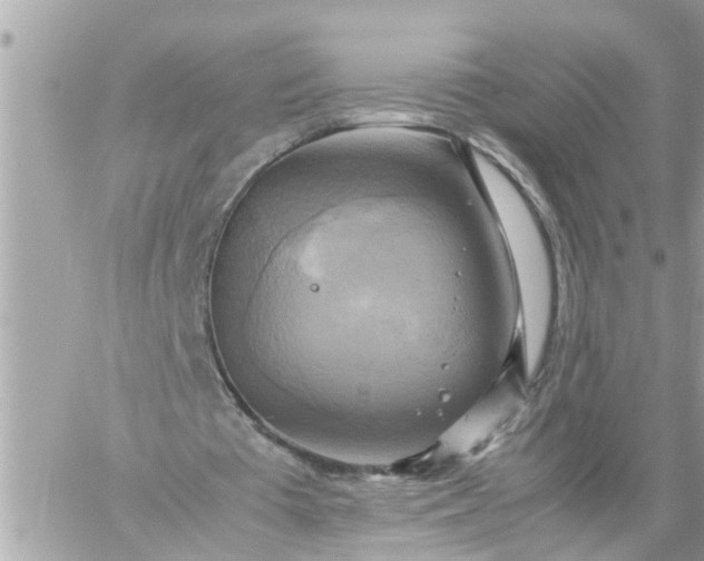 X0000059230385200510281911