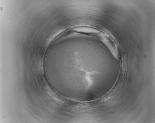 X0000059230386200510281911