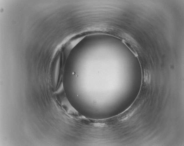 X0000059230388200510281911