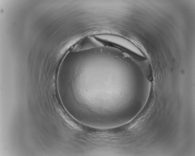 X0000059230389200510281911