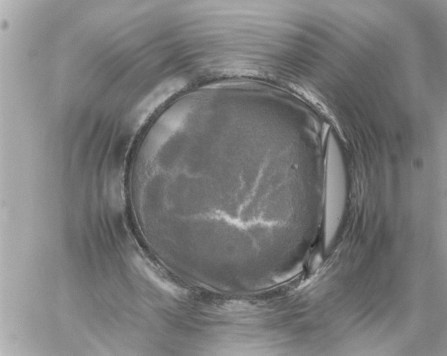 X0000059230390200510281911