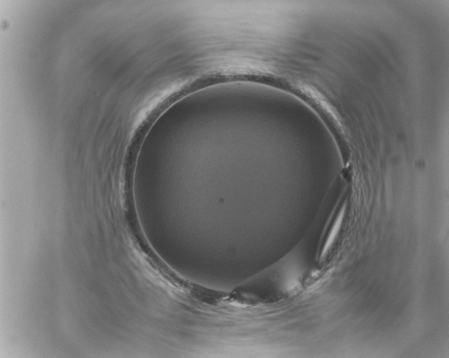 X0000059230391200510281911