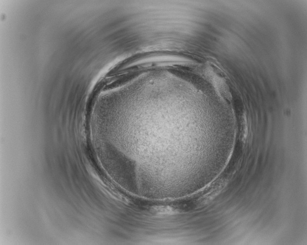 X0000059230392200510281910