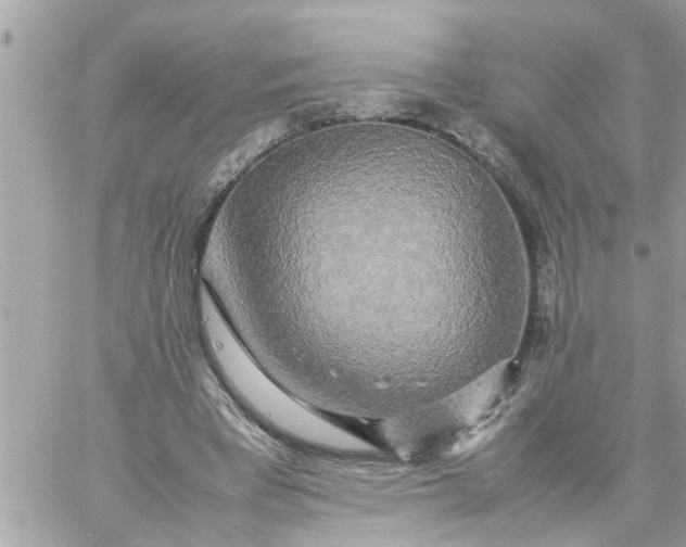 X0000059230393200510281910