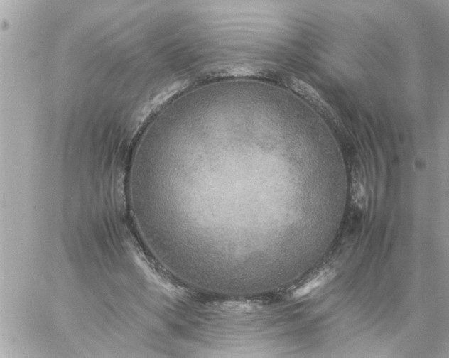 X0000059230394200510281910