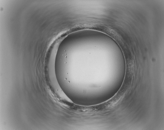 X0000059230395200510281910