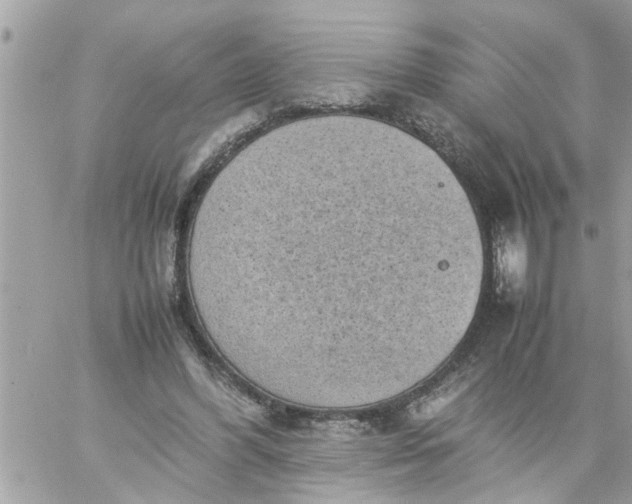 X0000059230396200510281910