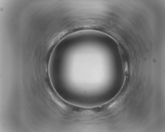 X0000059230397200510281910