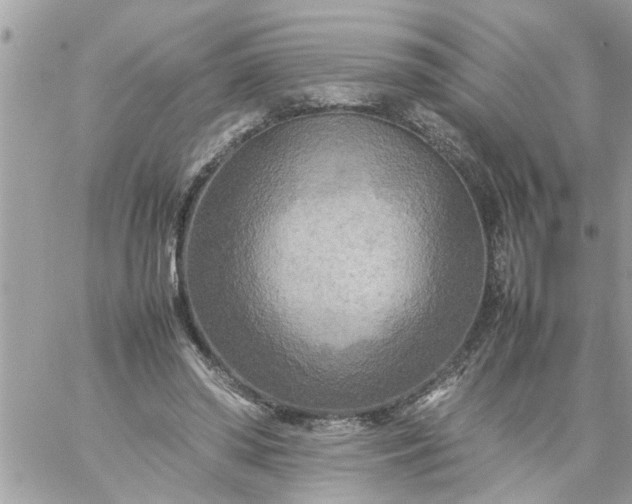 X0000059230398200510281910